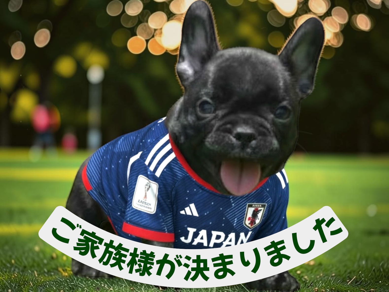 子犬情報