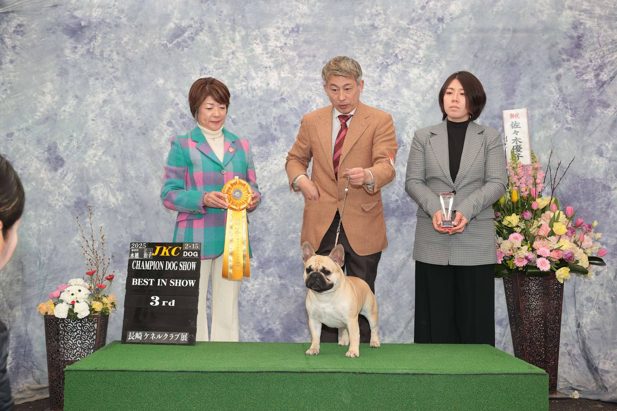 <p>いつも、お世話になっているブリーダー産がオーナー様です。<br />
当犬舎の瑠璃や心なども血縁関係にあるメチャクチャ、ハンサムでカッコいいお父さん❣️性格も可愛い❣️私もいつかはネイサンのような子が作出できたらと。。。</p>