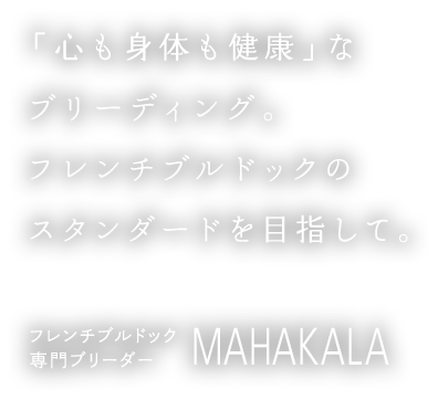 心も身体も健康なブリーディングフレンチブルドックのスタンダードを目指して